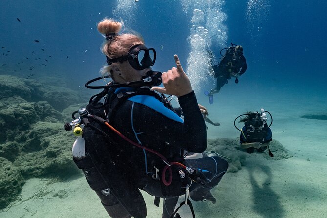 Scuba Diving at Turtle Bay with Underwater Pictures Included - A three-hour outing with little wasted time