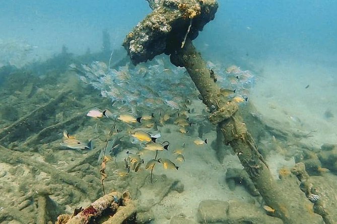 Scuba Diving at Unawatuna - What the GoPro photos add