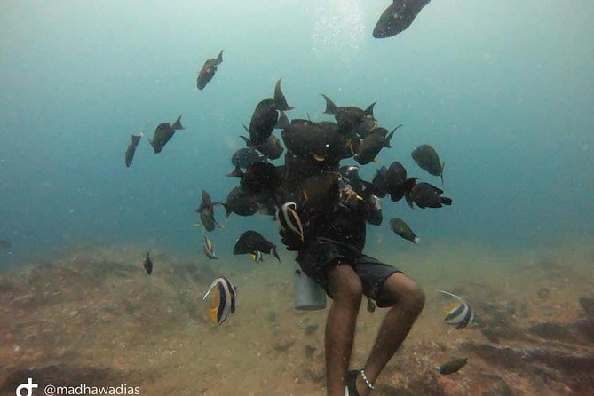 Scuba Diving at Unawatuna - Is $70 a fair price for this Unawatuna session?