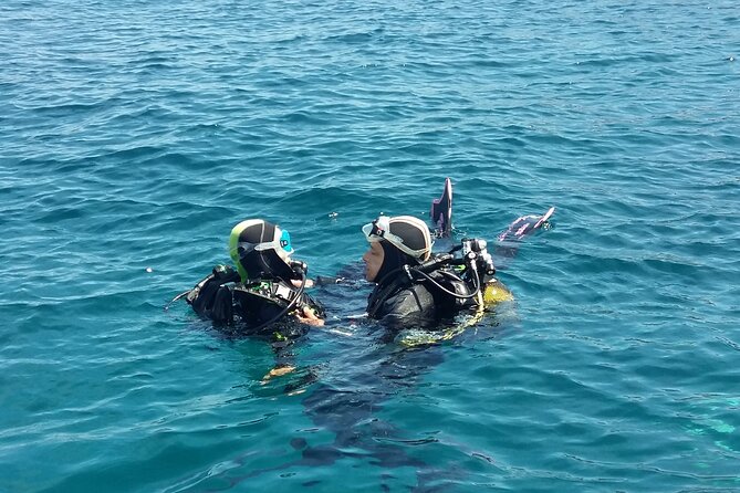 Scuba diving baptism - The boat ride from Port Fréjus to Lion de Mer