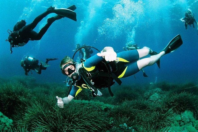 Scuba Diving Baptism and Snorkeling in Ibiza - Key points at a glance