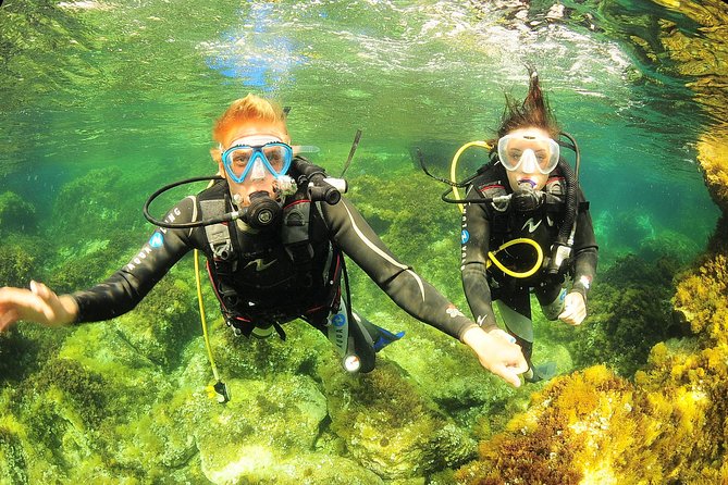 Scuba Diving Baptism and Snorkeling in Ibiza - The 9:00 am meeting in San Antonio