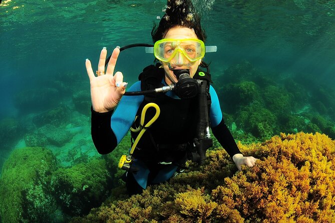 Scuba Diving Baptism and Snorkeling in Ibiza - Reaching the cliff bay after 35 minutes