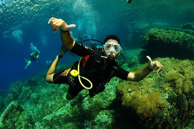 Scuba Diving Baptism and Snorkeling in Ibiza - What the $181.02 price represents