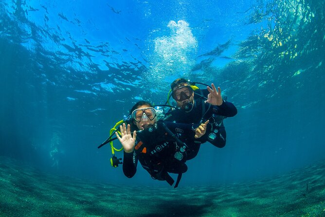 Scuba Diving Baptism Experience in Santa Cruz Tenerife - Arriving at Macaronesian Divers in Radazul