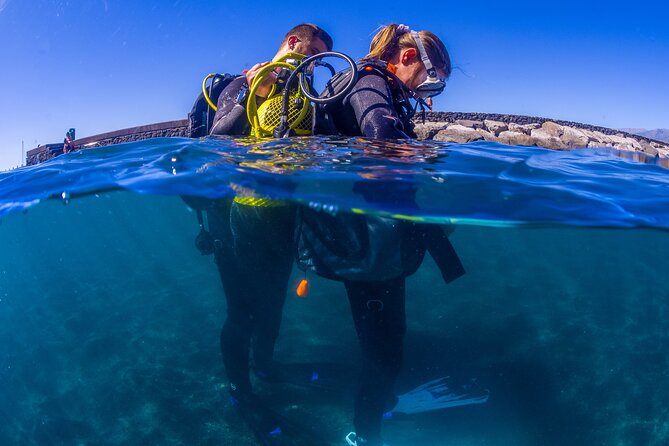 Scuba Diving Baptism Experience in Santa Cruz Tenerife - Learning the equipment before entering the water