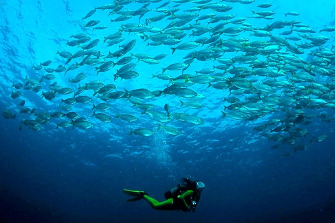 Scuba Diving Baptism in Costa Teguise, Lanzarote - Choosing the morning or afternoon start