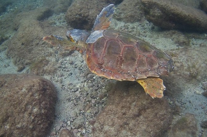 Scuba Diving Baptism in Costa Teguise, Lanzarote - How the location and weather affect the experience
