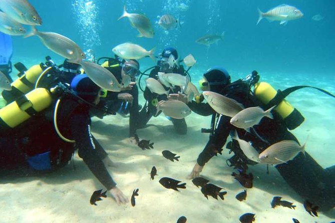 Scuba Diving Baptism in Costa Teguise, Lanzarote - What happens during the 45-minute underwater session