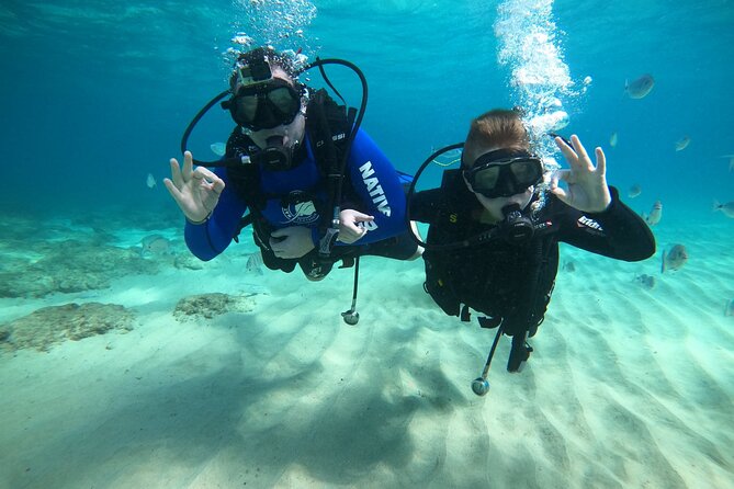 Scuba Diving (Basic Diver - 2 dives) - What the Price Includes at $120.15