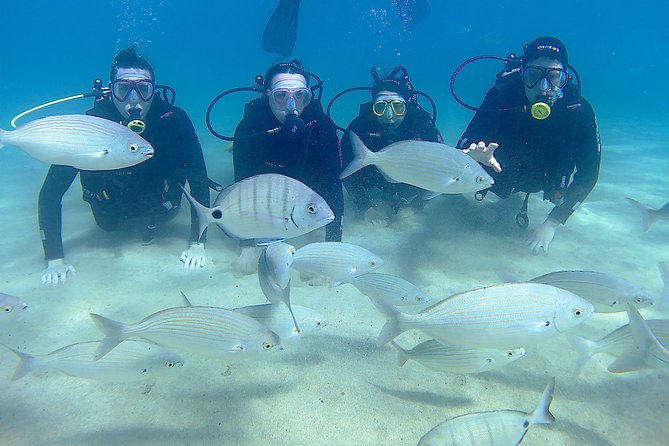 Scuba Diving (Basic Diver - 2 dives) - Is This Suitable for You?