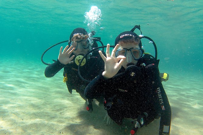 Scuba Diving (Basic Diver - 2 dives) - Booking Ahead and Keeping Plans Flexible