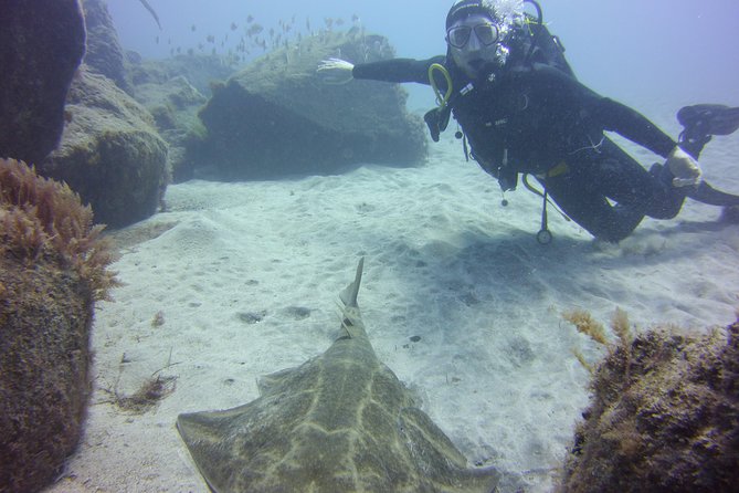 Scuba Diving Beginner's Session in Costa Adeje - The 45-minute sea swim offers a proper taste of scuba