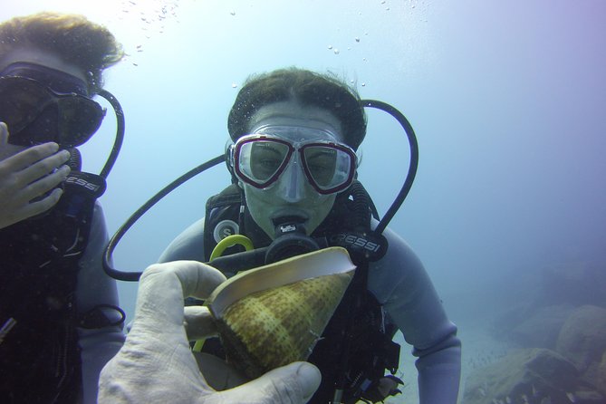 Scuba Diving Beginner's Session in Costa Adeje - What the $114.93 price really includes