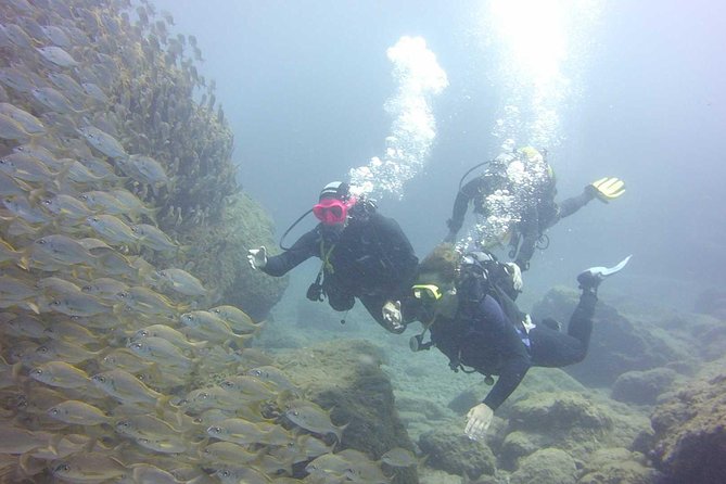Scuba Diving Beginner's Session in Costa Adeje - Practical details that can make the day better