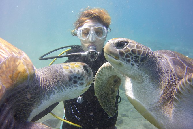 Scuba Diving Beginner's Session in Costa Adeje - At Ocean Trek, equipment and safety come before the sea