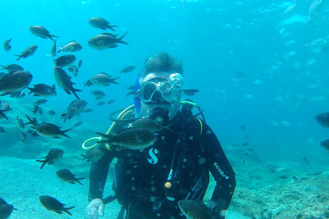 Scuba Diving Cyprus Experience Protaras and Ayia Napa & Turtles - A calm introduction at Yellow Fins in Protaras