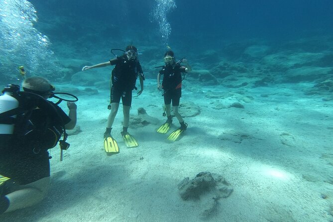 Scuba Diving Cyprus Experience Protaras and Ayia Napa & Turtles - Green Bay is your underwater classroom