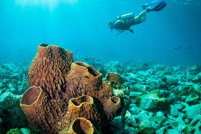 Scuba Diving Day Trip at Koh Chang – 2 Dives - Two very different underwater days around Koh Chang