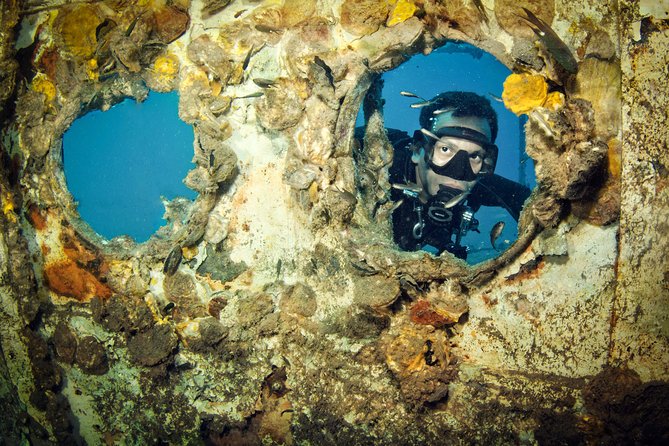 Scuba Diving Day Trip at Koh Chang – 2 Dives - Who should book this Koh Chang outing?