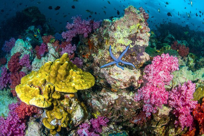 Scuba Diving Daytrip to Racha Yai - The first underwater session at Racha Yai