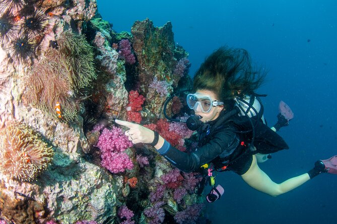 Scuba Diving Daytrip to Racha Yai - From your hotel to Chalong Pier