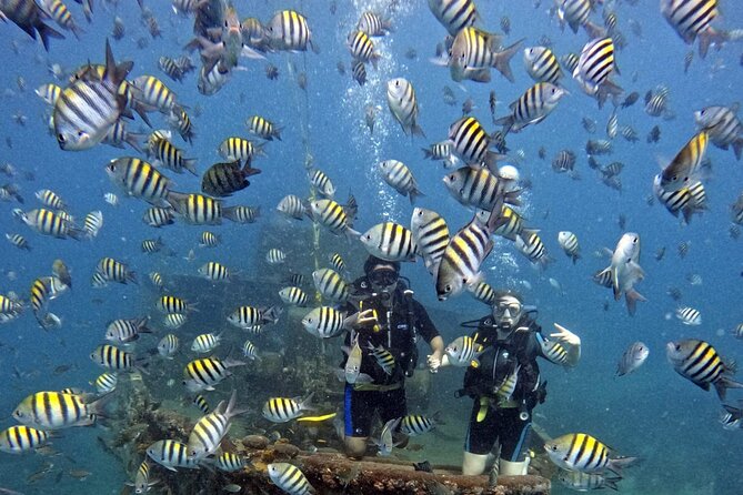 Scuba Diving Discovery in the Crystal Water DE Bayahibe - What makes this Bayahibe experience different