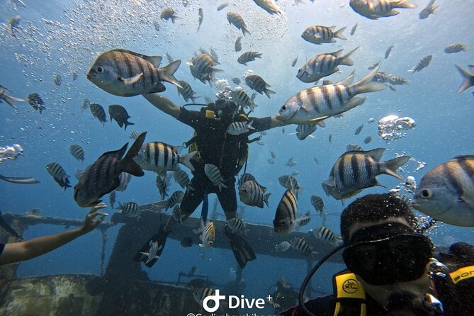 Scuba Diving Discovery in the Crystal Water DE Bayahibe - Coral, fish, and the value of a living site