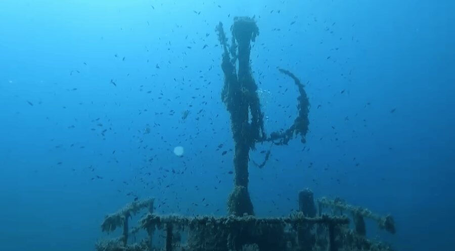 Scuba Diving - Dive for certified divers - Choosing the right Balearic Island setting