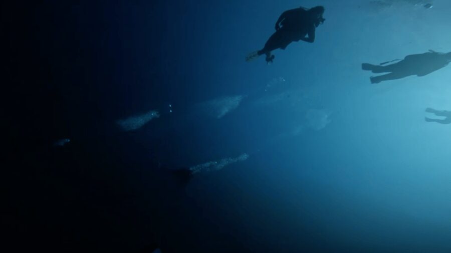 Scuba Diving - Dive for certified divers - A slow entry into the water