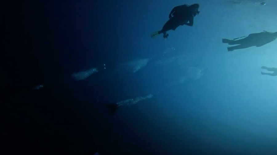 Scuba Diving - Dive for certified divers - Drinks, snacks, and the ride back