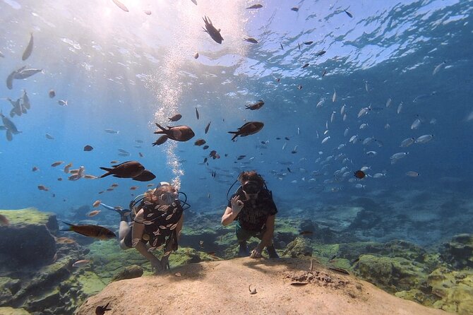 Scuba Diving Experience (10+ Years) AND Free Edited Video - Who should book this experience