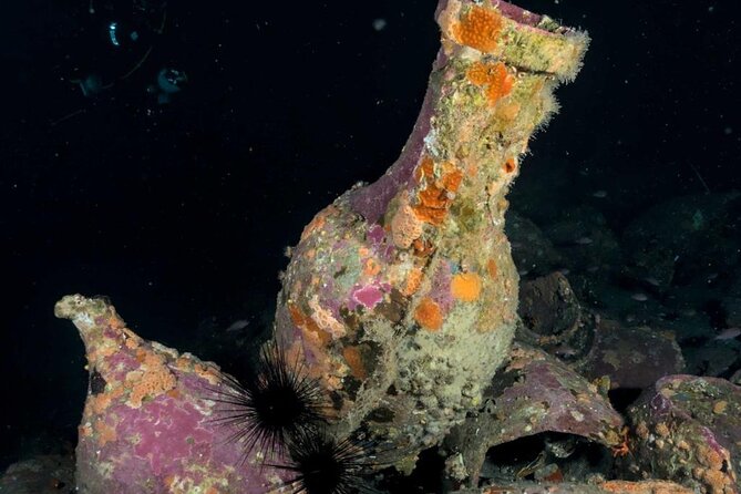 Scuba Diving Experience - Why the $84.21 price can make sense