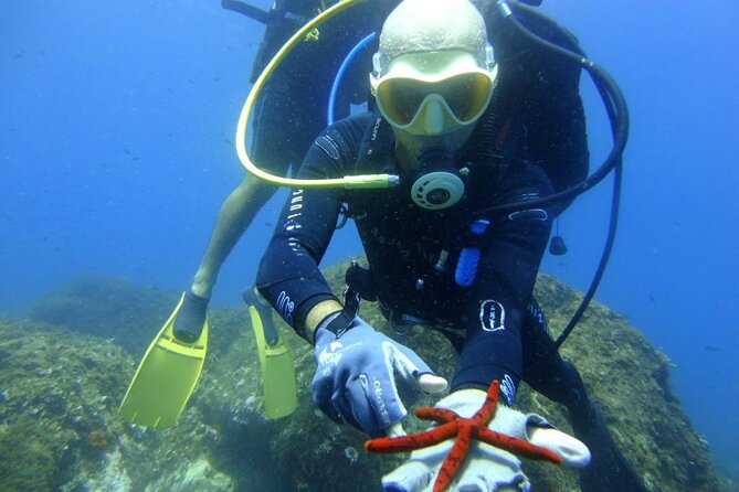 Scuba Diving Experience - A practical warning about weather cancellations