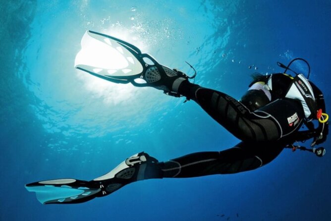 Scuba Diving Experience for Beginners in Ponta de São Lourenço - From shallow water to the private reef