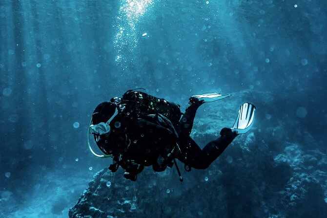 Scuba Diving Experience in Alanya With Lunch and 2 Dives - Key points at a glance