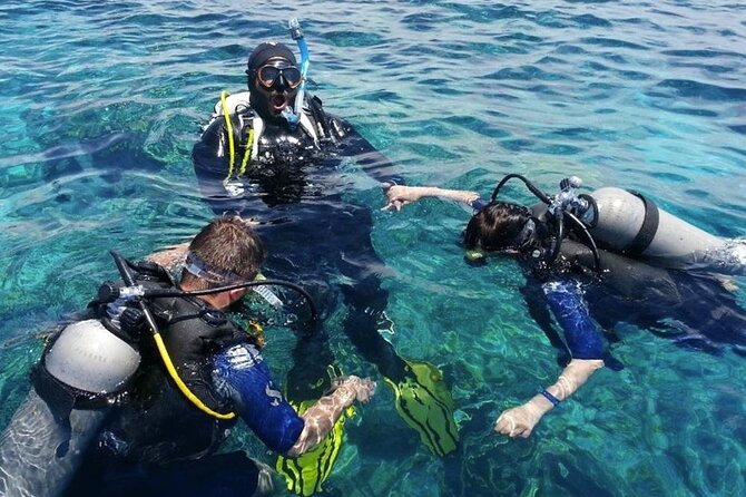 Scuba Diving Experience in Alanya With Lunch and 2 Dives - What the $40 Alanya boat day really offers