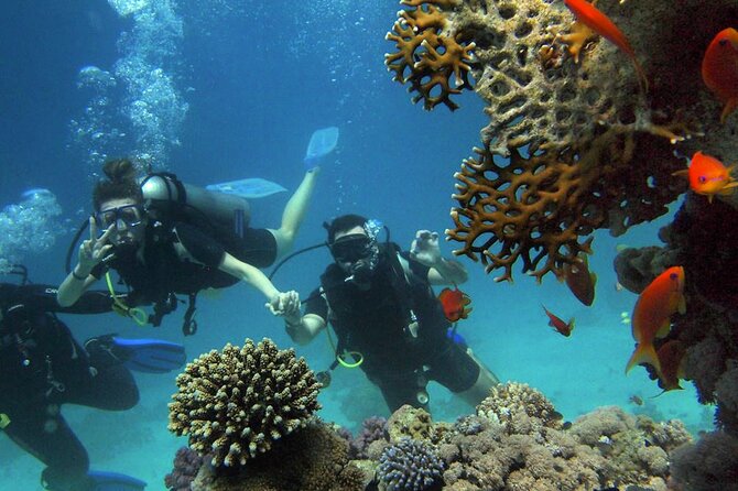 Scuba Diving Experience in Alanya With Lunch and 2 Dives - Boarding a fully equipped boat