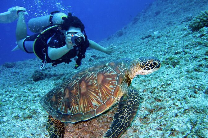 Scuba Diving Experience in Alanya With Lunch and 2 Dives - The first underwater session