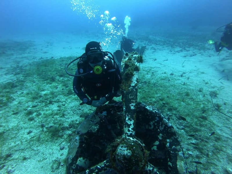 Scuba diving experience in La Maddalena : Baptism of the sea - Practical booking advice before you commit