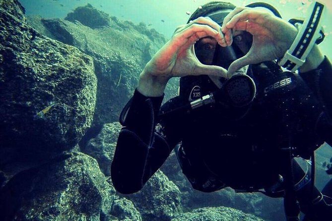 Scuba Diving Experience in Madeira - The instructors and the comfort factor