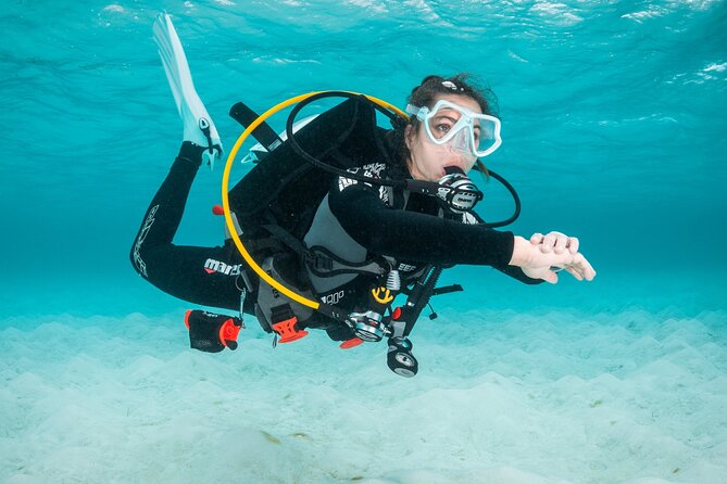 Scuba Diving Experience in Madeira - Starting at Azul Diving Center in Funchal