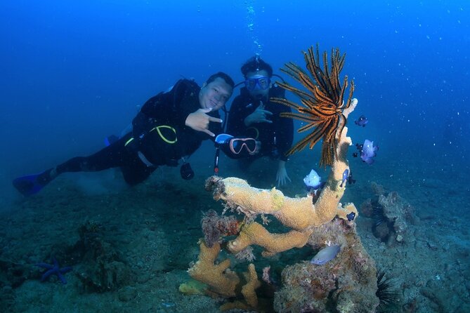 Scuba Diving Experience in Nha Trang Bay - Key points to know before you book