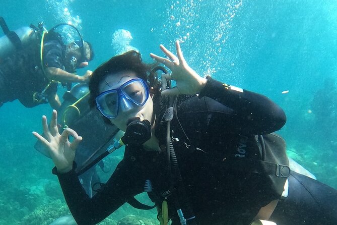 Scuba Diving Experience in Nha Trang Bay - Why Nha Trang Bay works for a first scuba outing