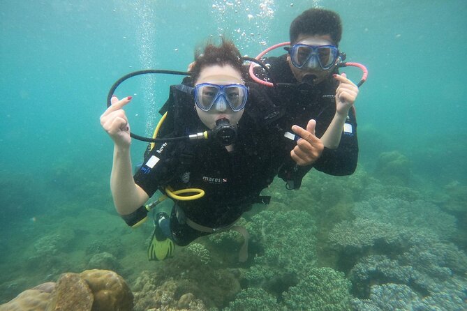 Scuba Diving Experience in Nha Trang Bay - Equipment, instruction, and comfort