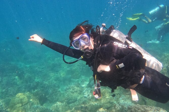 Scuba Diving Experience in Nha Trang Bay - My verdict for a guided day on the bay