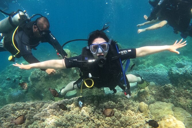 Scuba Diving Experience in Nha Trang Bay - The underwater session at Nha Trang Bay