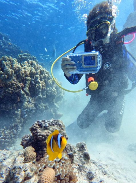 Scuba Diving Experience in Porto Cesareo - Key points to know before booking