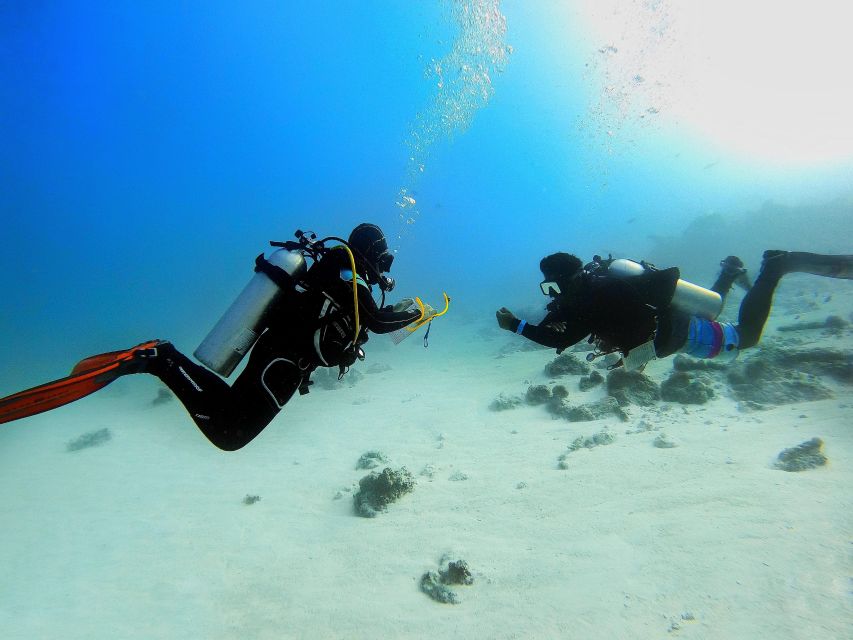 Scuba Diving Experience in Porto Cesareo - What the Porto Cesareo session is really like