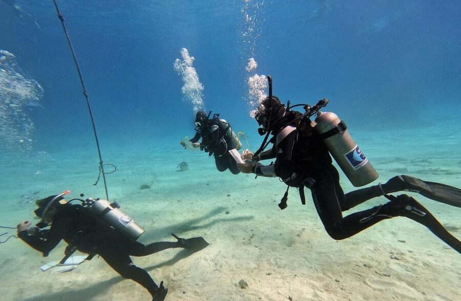 Scuba Diving Experience in Porto Cesareo - Reaching the protected Porto Cesareo marine area